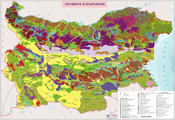 Почвите в България