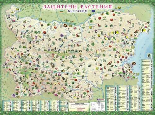 Защитени растения