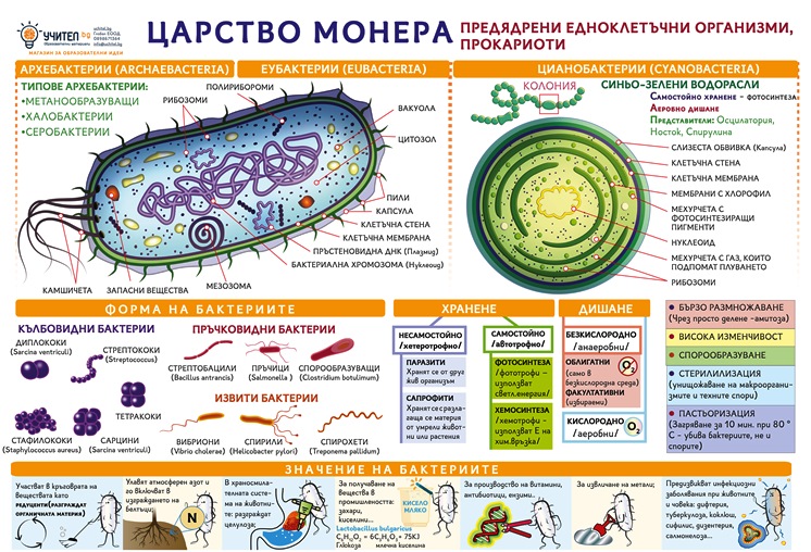 Царство Монера - постер